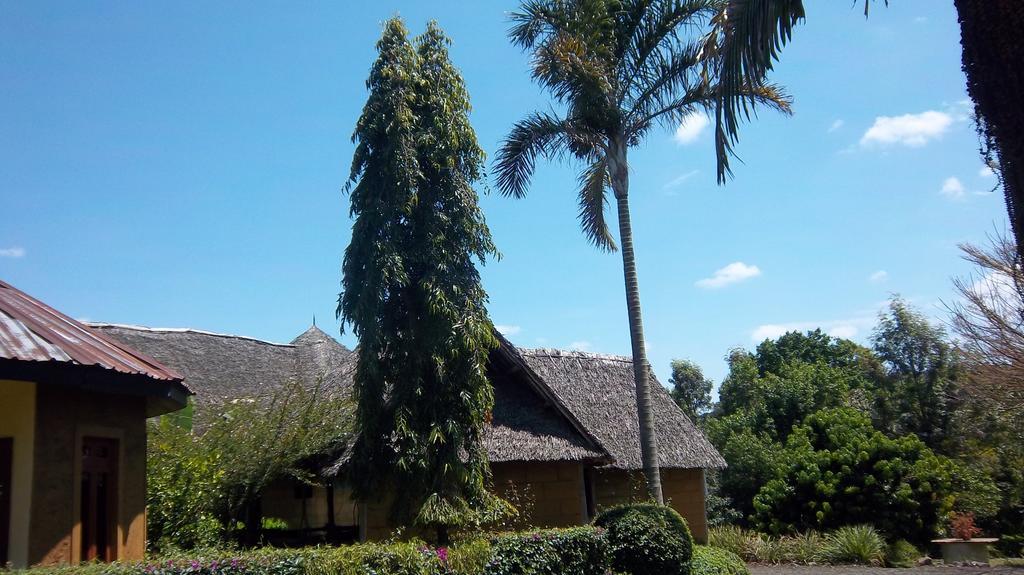 Kilimanjaro Eco Lodge Usa River المظهر الخارجي الصورة