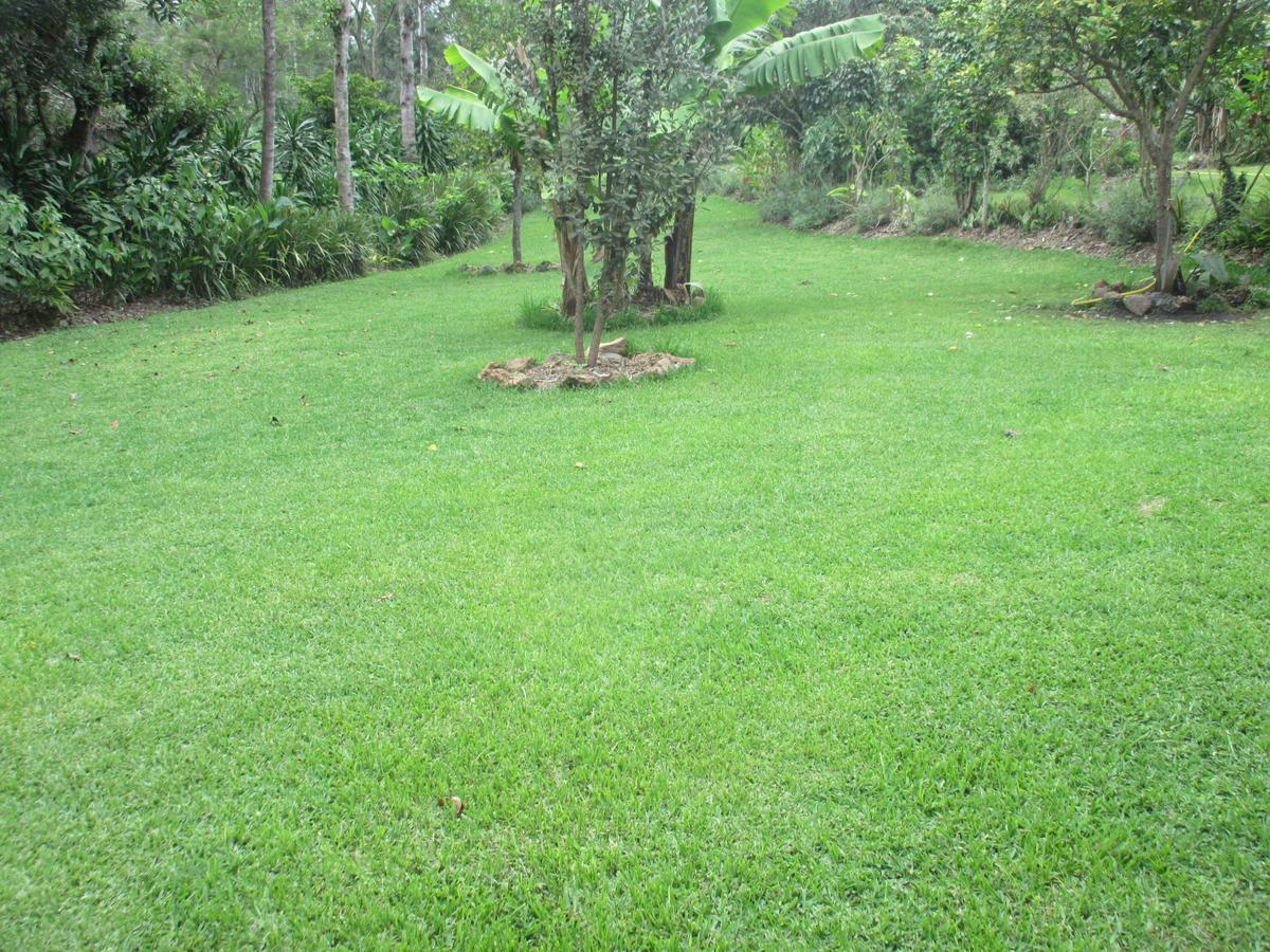 Kilimanjaro Eco Lodge Usa River المظهر الخارجي الصورة