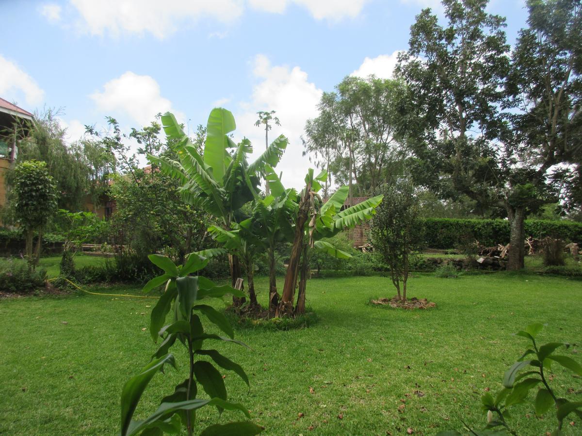 Kilimanjaro Eco Lodge Usa River المظهر الخارجي الصورة